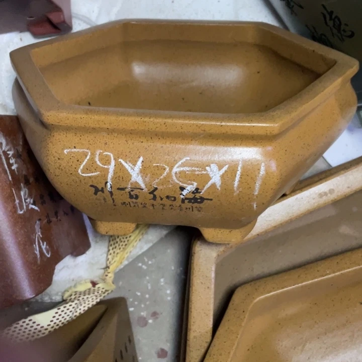紫砂紫砂紫砂紫砂紫砂紫砂