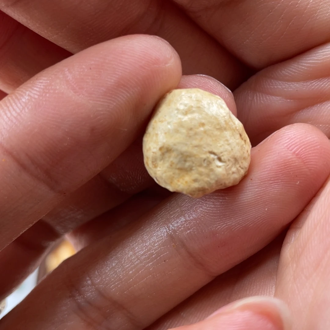 定制琥珀未镶嵌天然蜜蜡