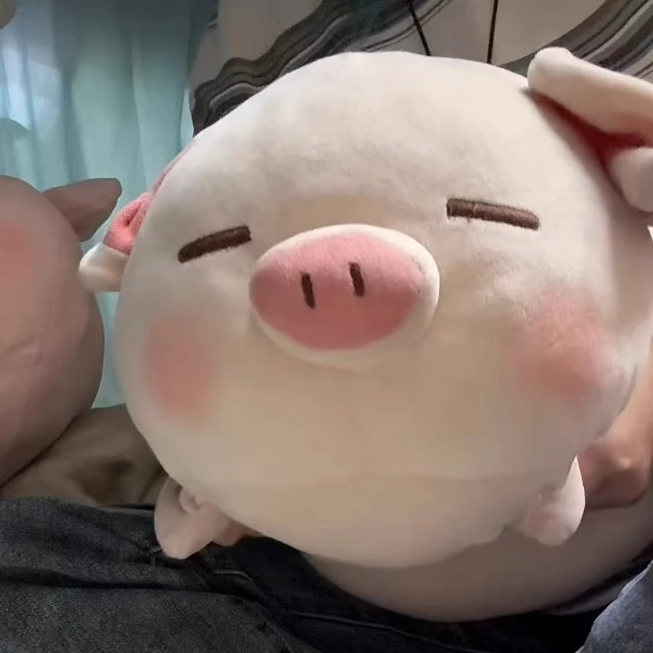 猪猪玩偶可爱趴趴猪软萌毛绒公仔女生陪睡专用玩偶情绪发泄大抱枕