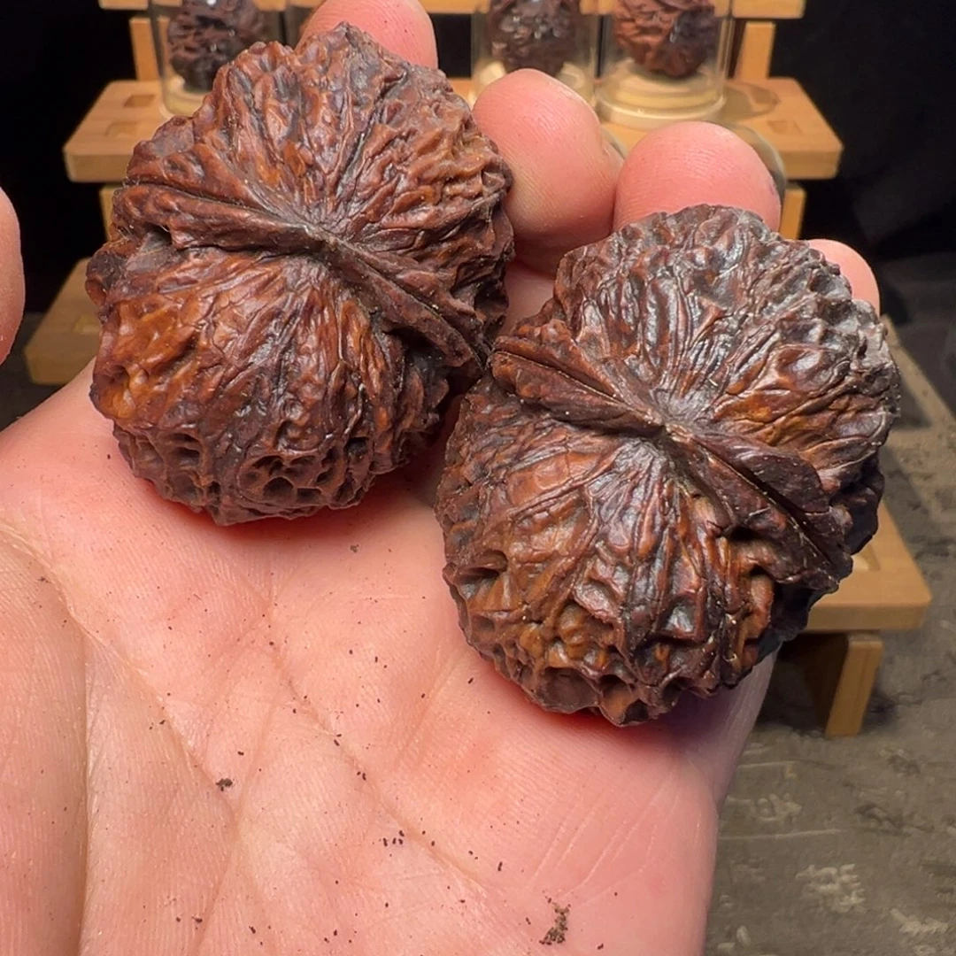 文玩核桃把件聚宝金蟾45mm