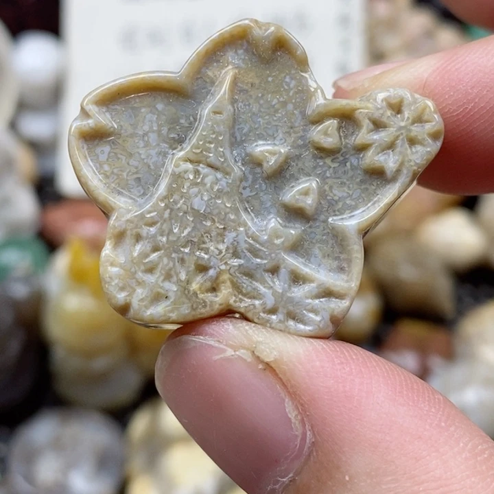 硅化珊瑚（珊瑚玉）未镶嵌颈饰小