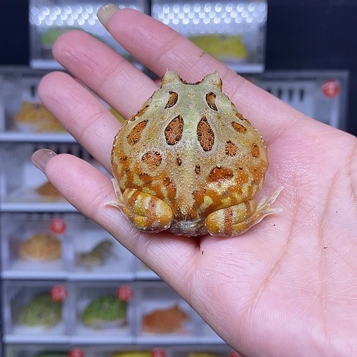 特价秒杀现货特价