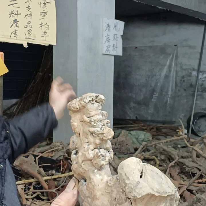 稳定木筠**?贵州檬子木   铁马鞭   根艺  半成品