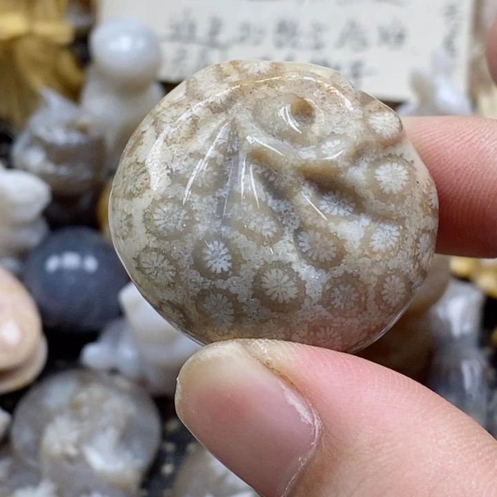 颈饰未镶嵌硅化珊瑚（珊瑚玉）没打孔