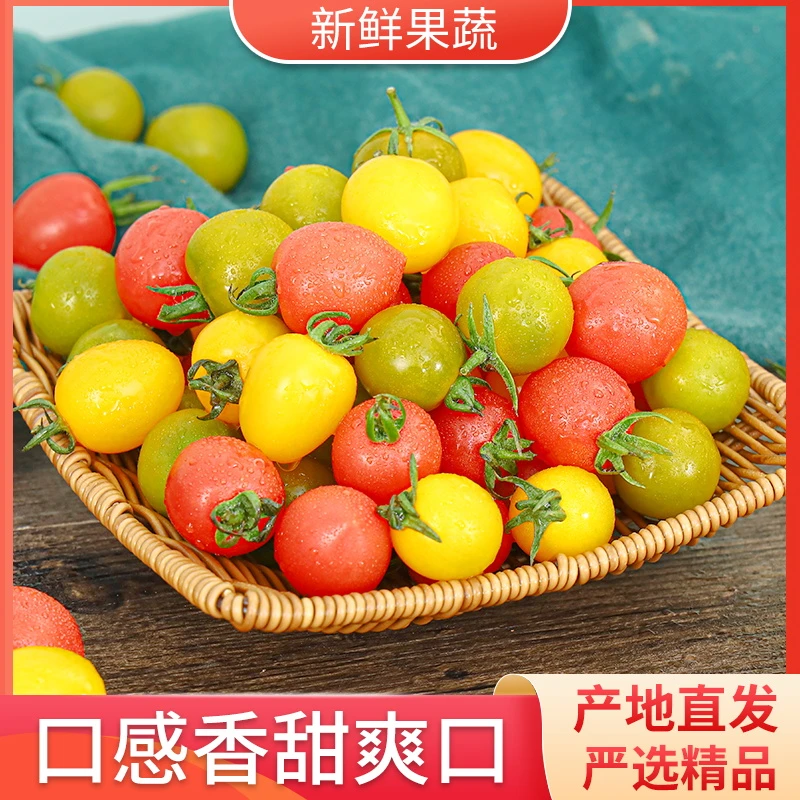 【顺丰包邮】彩色番茄组合青甜绿宝石+迷恋+靓贝香甜多汁水果西红柿