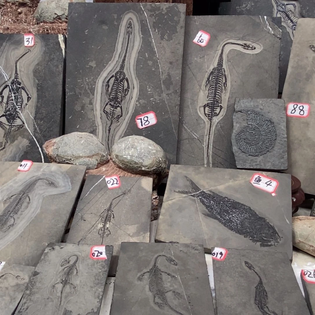 石材珠*源大自然的秘密就是这样神奇