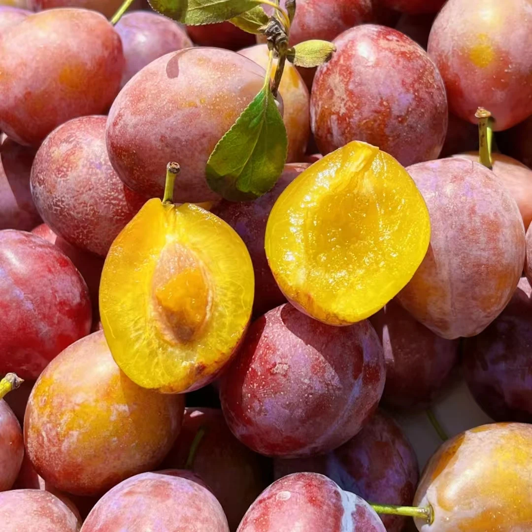 智利西梅50一盒