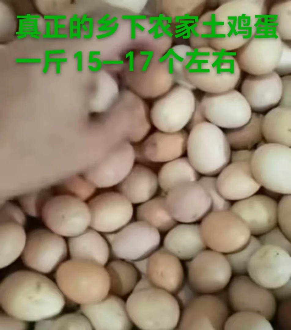 真正的农村散养土鸡蛋一斤15-17只左右粮食喂养