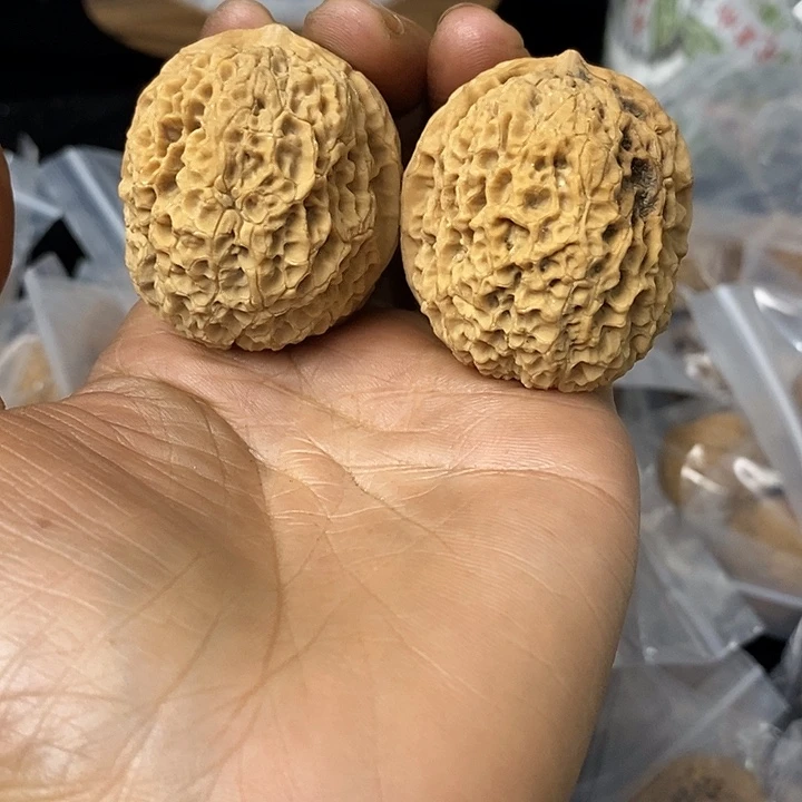 核桃云南铁核桃基地123