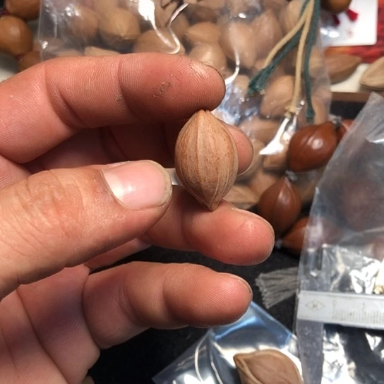 h***n橄榄核手串/手链好咯哦哦哦我了