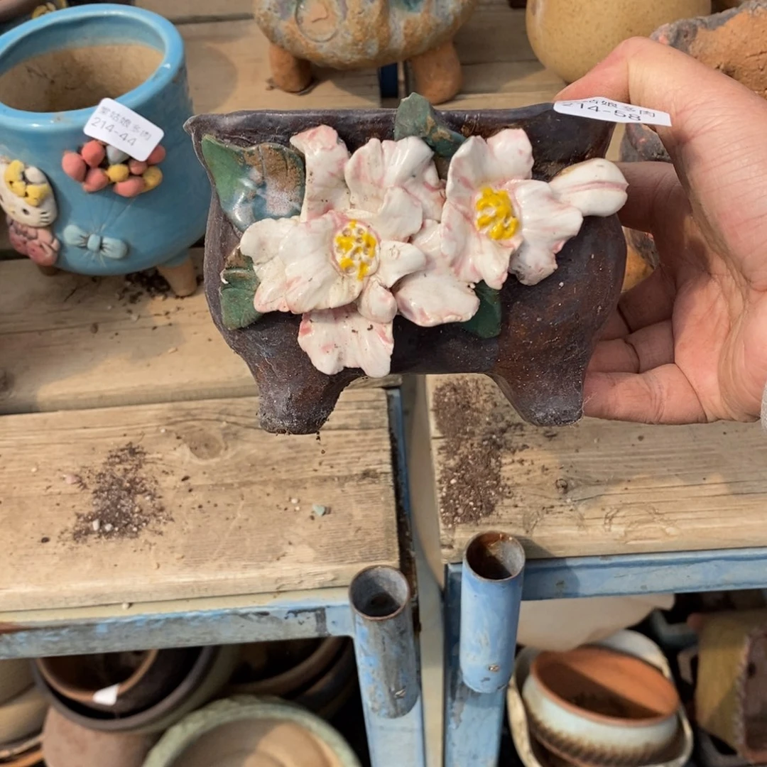 红陶@*M58号多肉盆一个呀