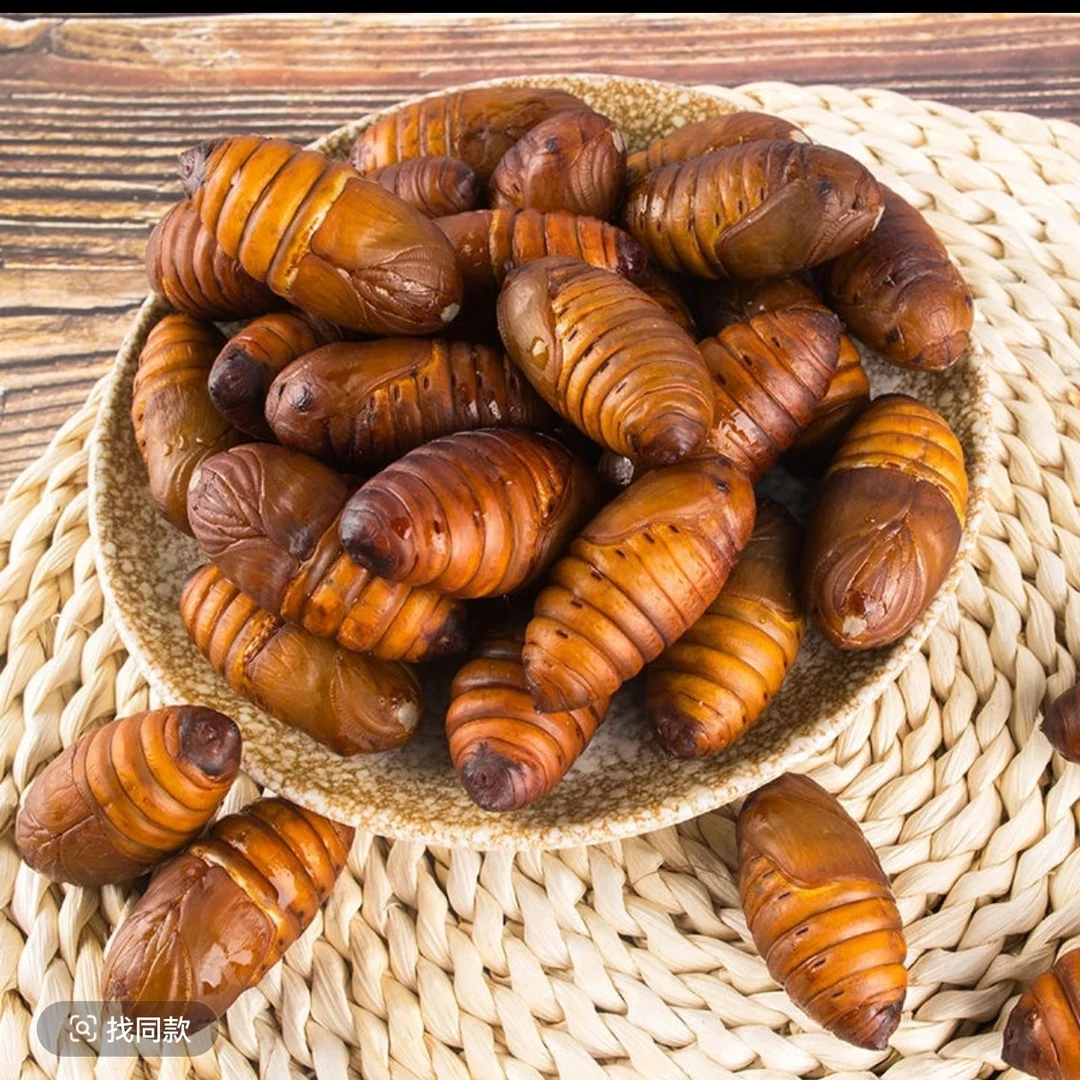 鲜活蚕蛹 1斤装 空气炸锅、辣炒、干炸