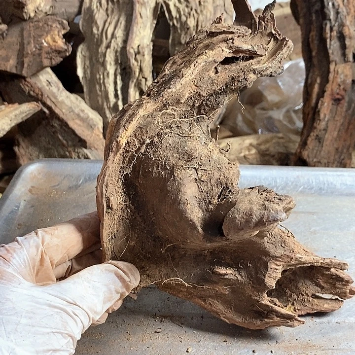 黄花梨/降香黄檀陌*