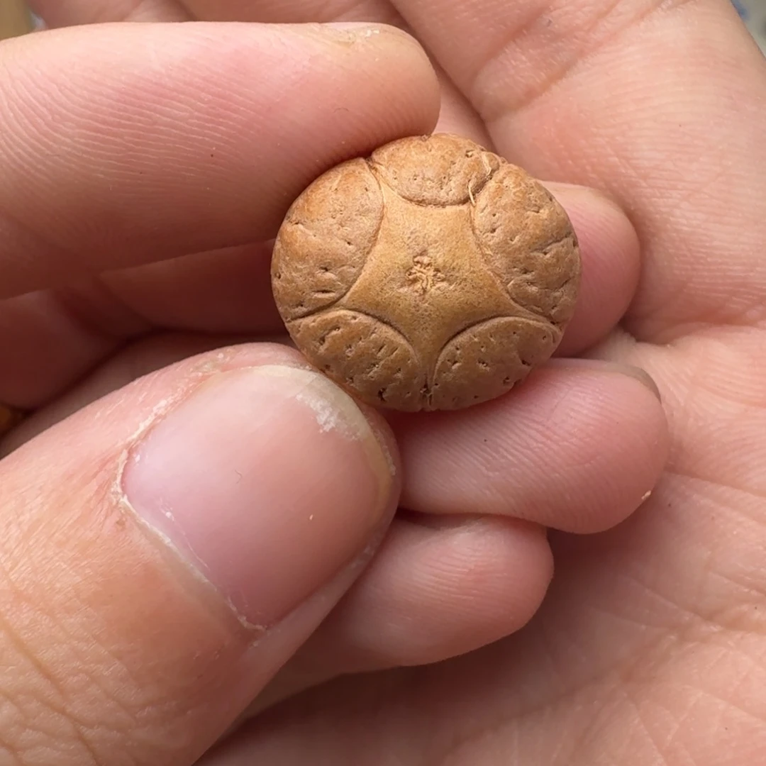 吊坠凤眼菩提18x14五星