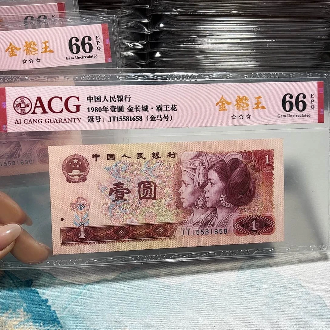 15581658。。。。。。。金马