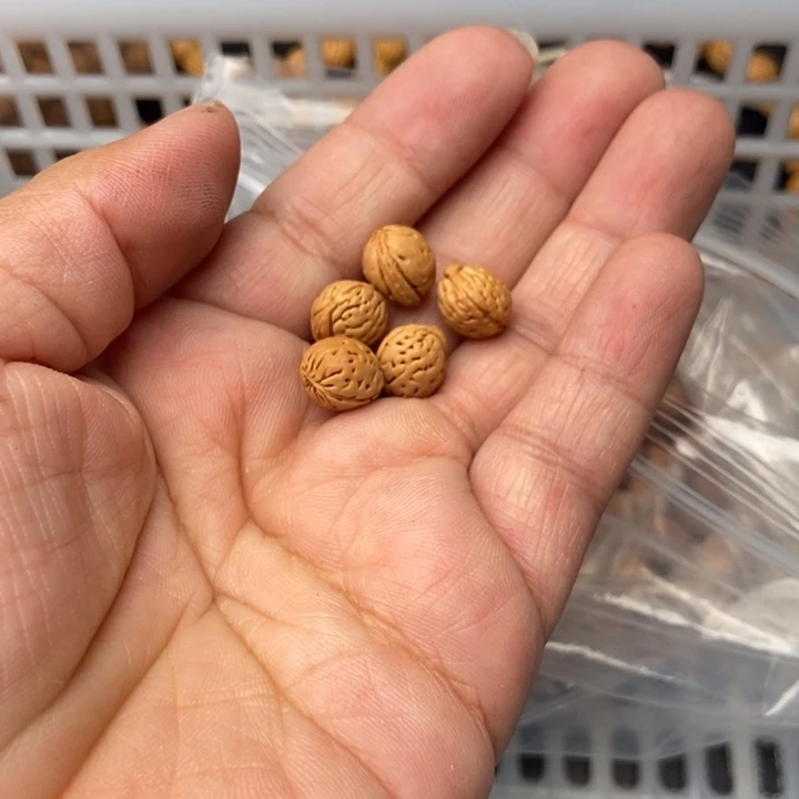 华***放银S925私人定制300打孔不退不换