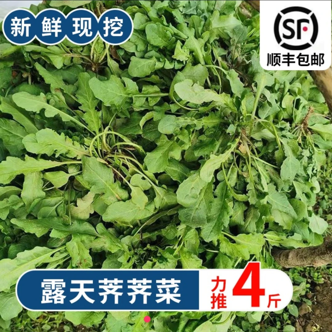 （顺丰快递）农家自种荠菜现挖头茬荠菜露天荠荠菜精选新鲜菜头茬