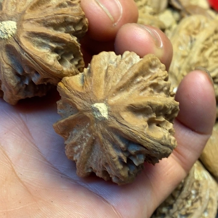 文玩核桃吊坠娜姐77