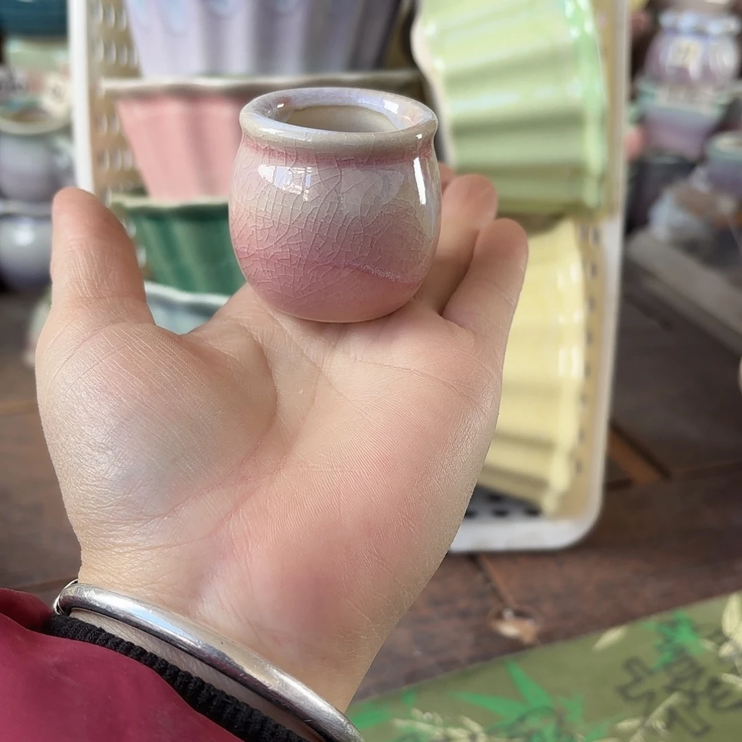 量货/口3高4深浅搭配发12