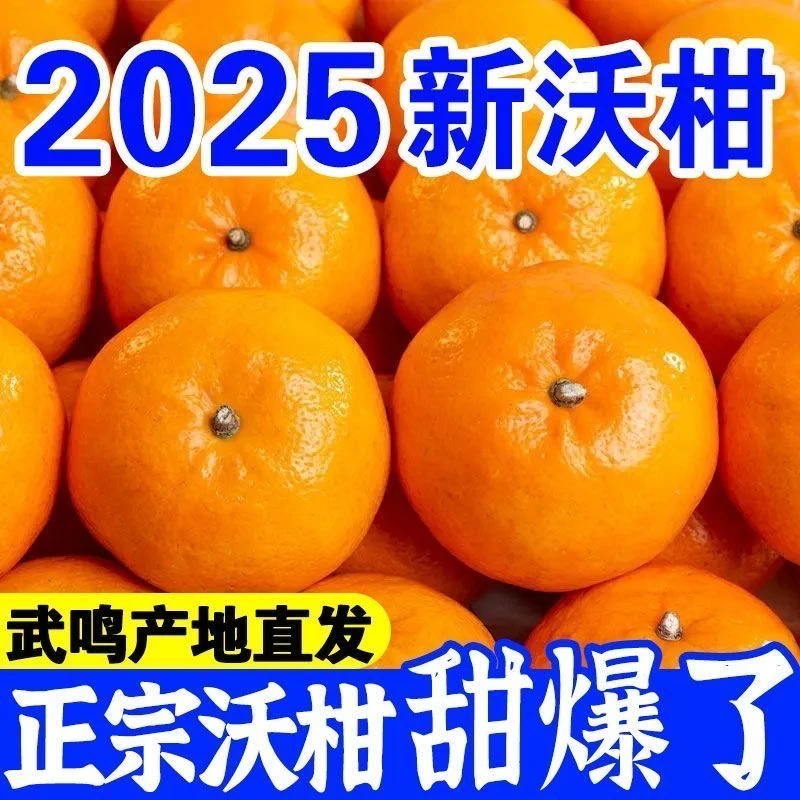 【产地正宗】正宗广西武鸣沃柑新鲜应季水果现摘果园直发坏果包赔