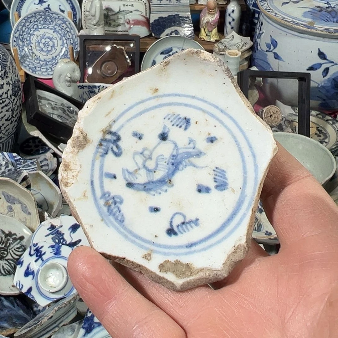 坚***守瓷片瓷片标本，全场包邮