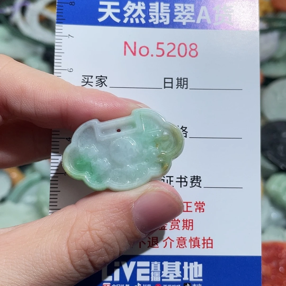 翡翠未镶嵌挂件5208