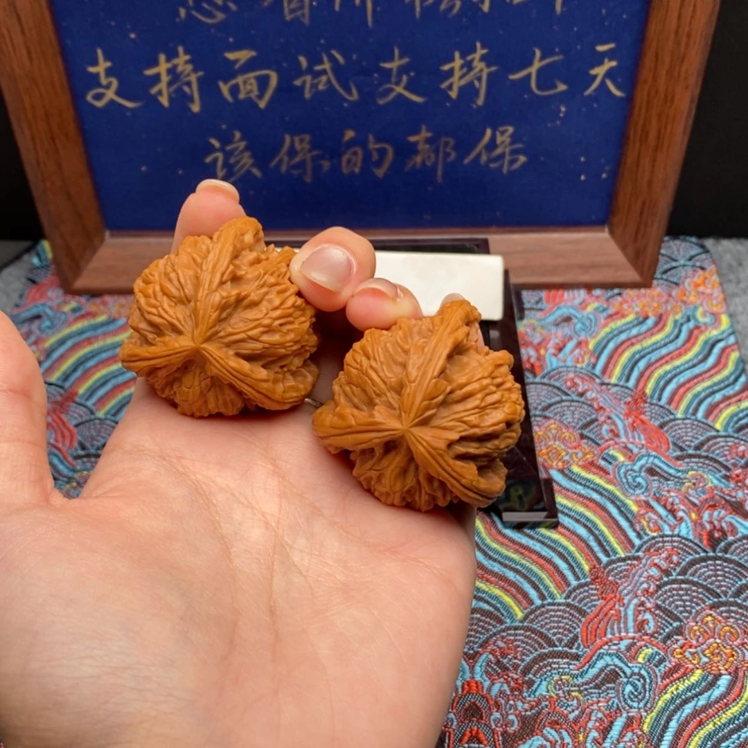 【闪购商品】肖*白狮