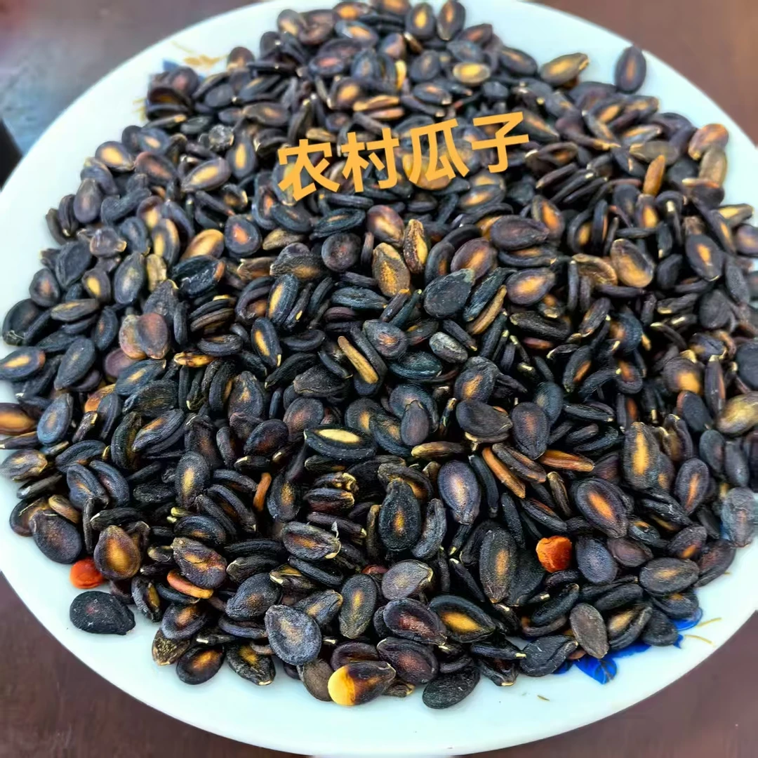 红安农村自种生黑瓜子