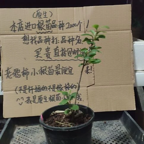 晨***妹完全开放刚刚呼呼