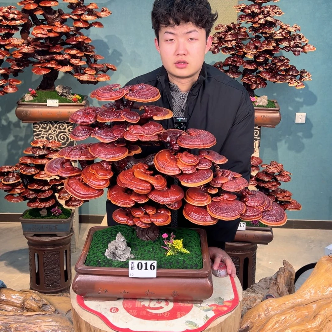 无花朵86888888888