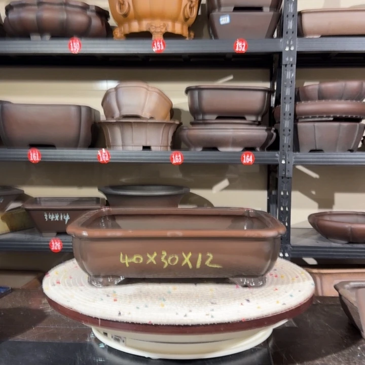 紫砂花盆呜呜呜我的小