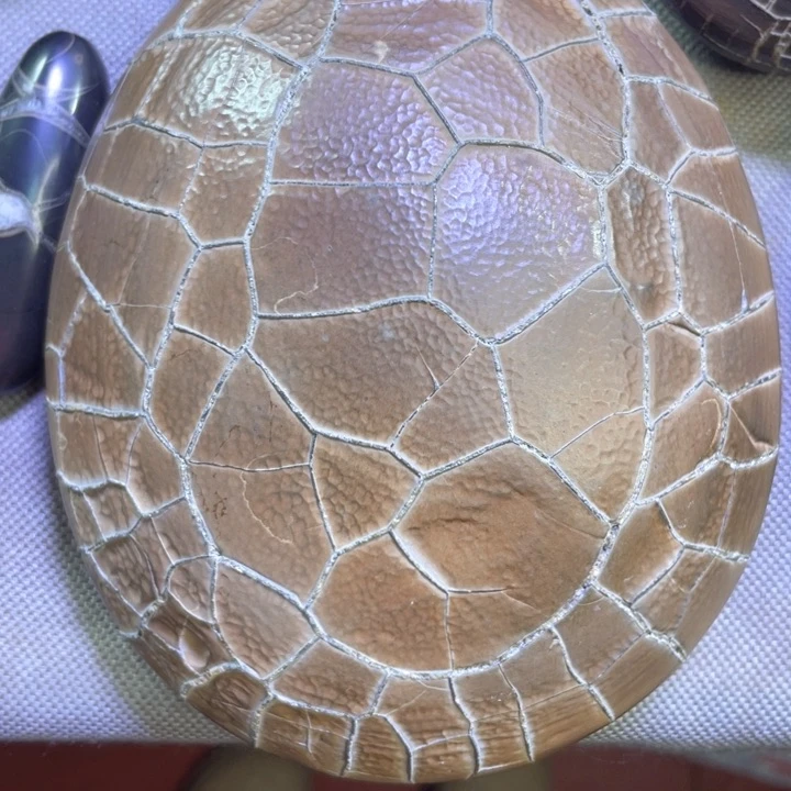 核桃手串/手链石*轩龟纹石双面满纹原石