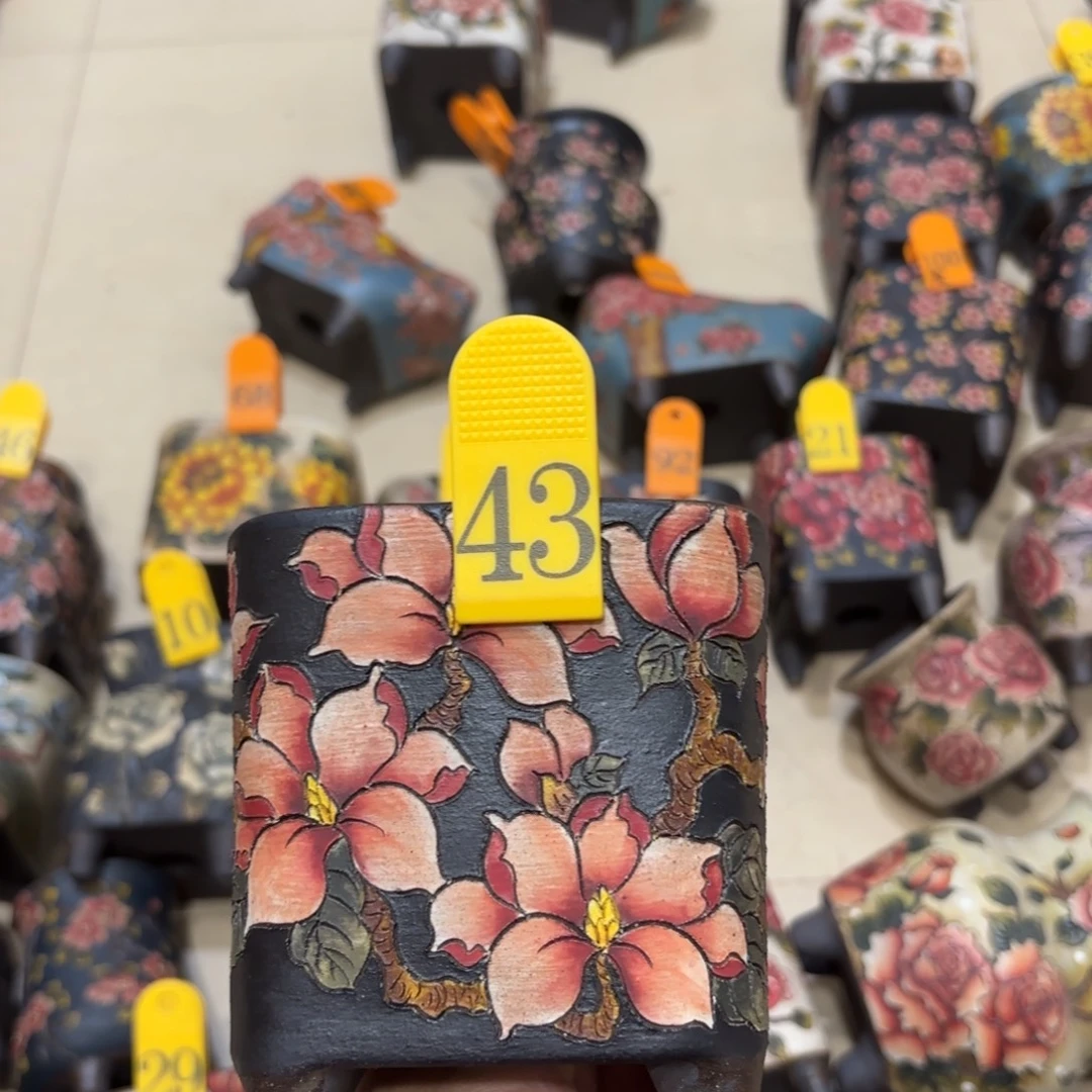 婷***夕哈哈哈哈哈哈哈哈