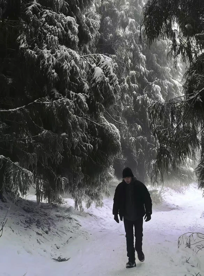 95飞燃SV  户外休闲舒适男女款羽绒服 M