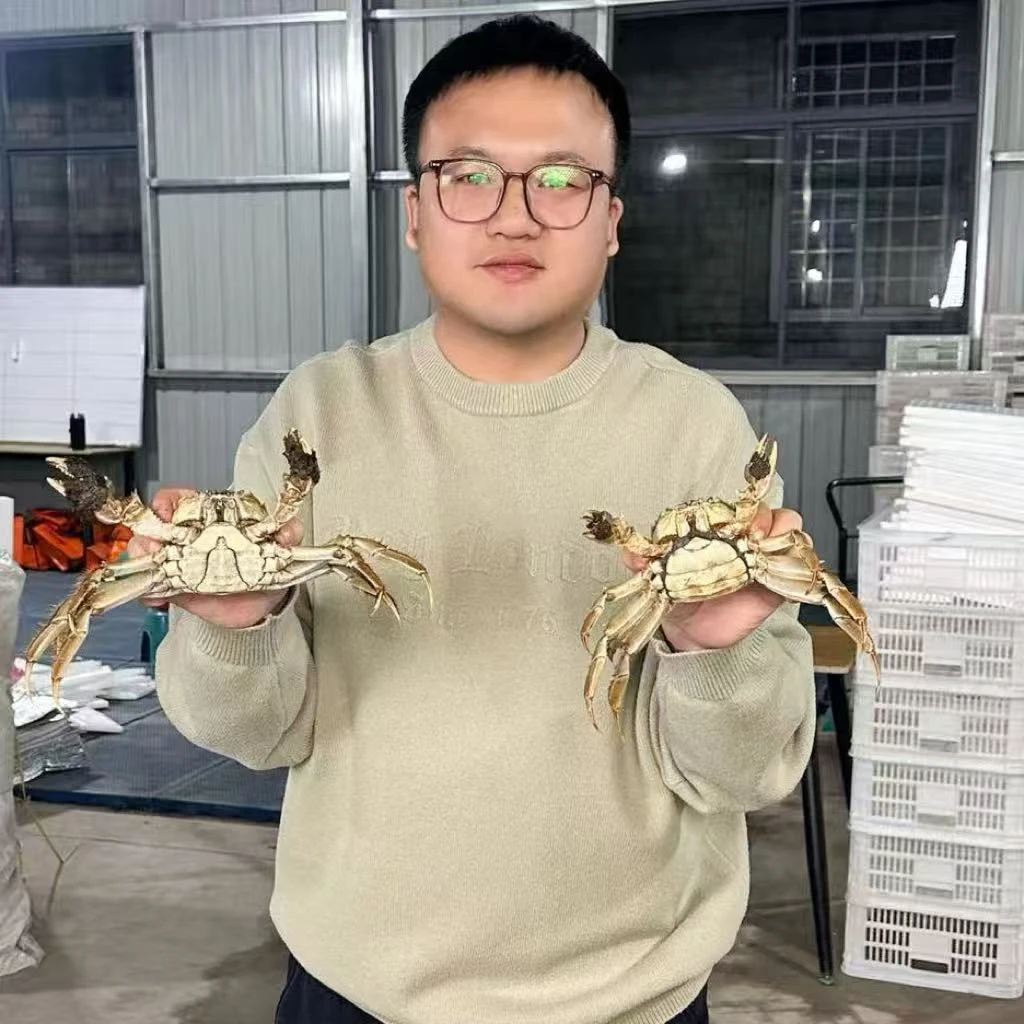 【活蟹】江苏精品大闸蟹公母搭配净重2-3斤/每只3两起5-12只