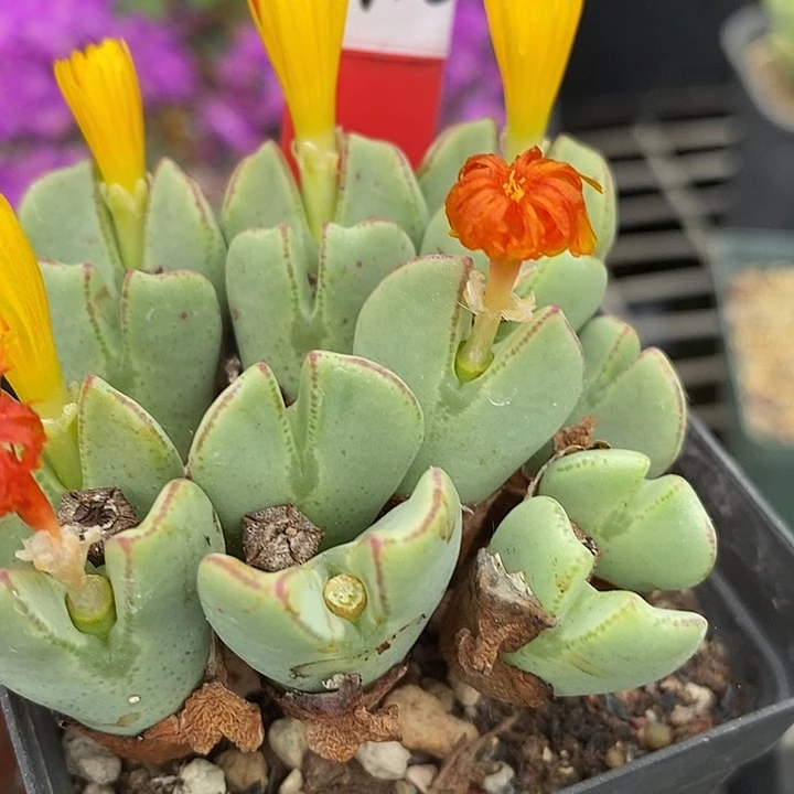 今天晚上不去上课啊5110