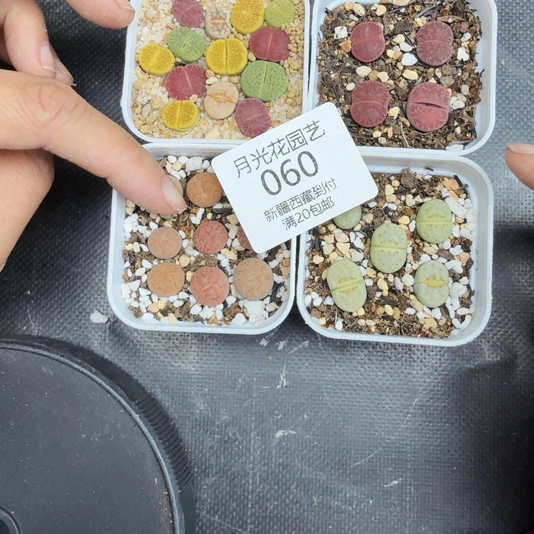 你也快回来吃饭哦060哈哈