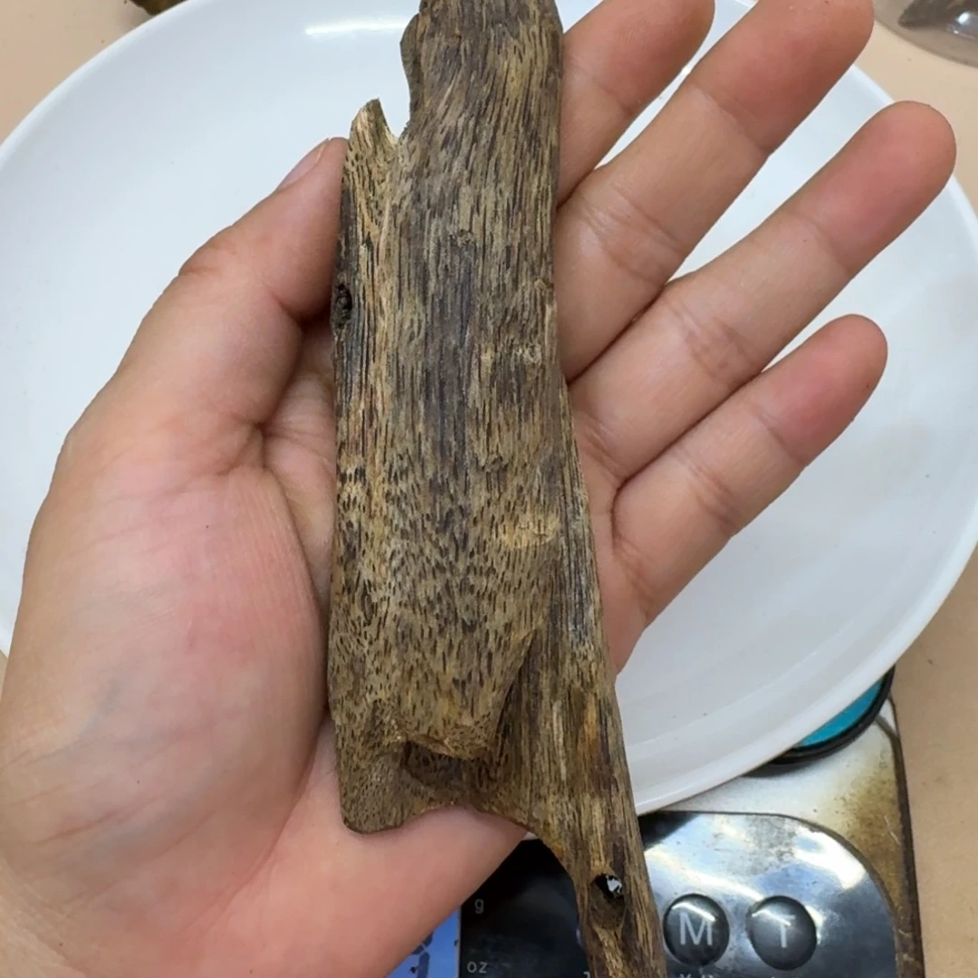 沉香碎屑沉香乌身圆叶沉水浮虫漏34克