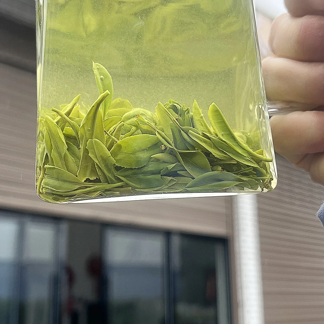 【2025口粮绿茶 】大茗茶厂明前新茶 栗香耐泡 鲜爽回甘 工厂直发