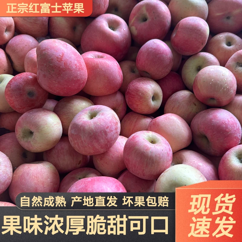 红富士冰糖心苹果当季新鲜脆甜多汁苹果新鲜水果苹果