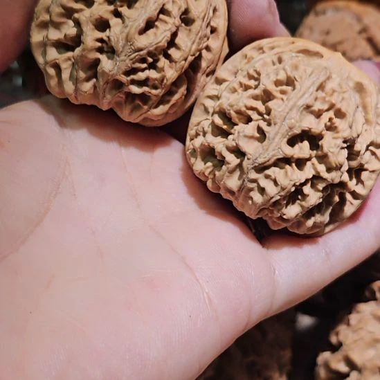 吊坠文玩核桃43粗筋