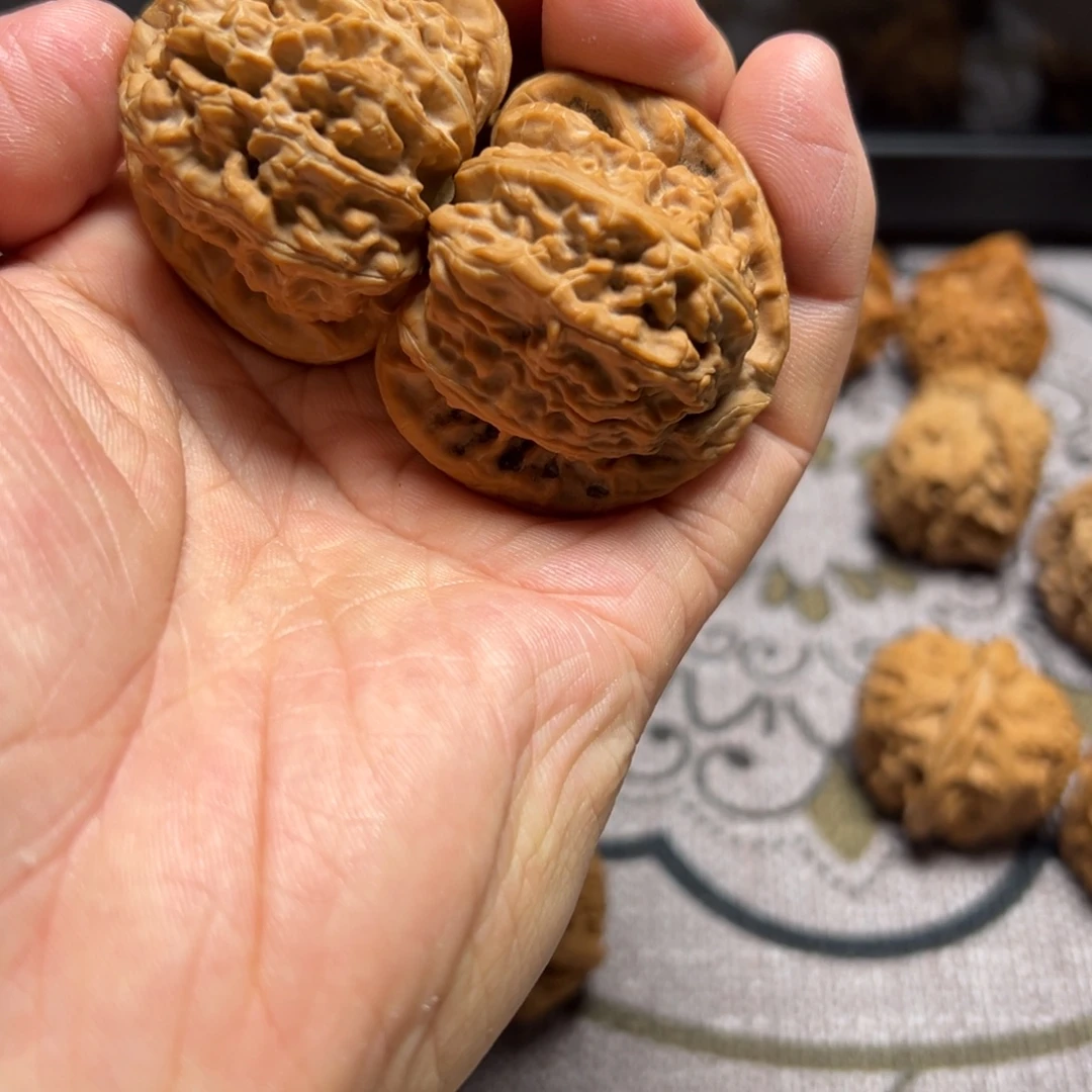 ****龙脊菩提吊坠三角白