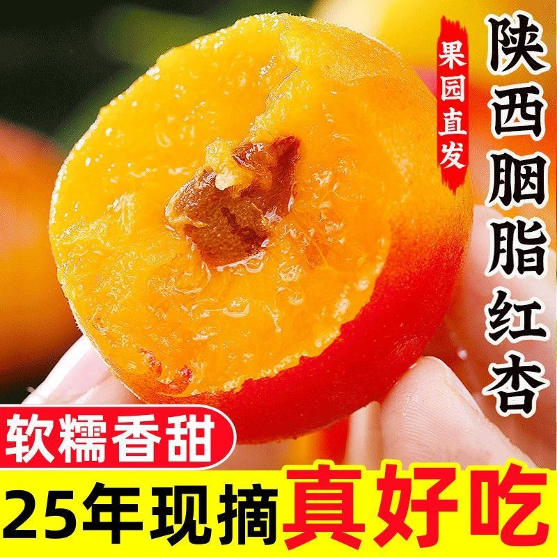 正宗陕西香仁胭脂贵妃大红杏新鲜时令孕妇水果杏子梅杏贵妃杏