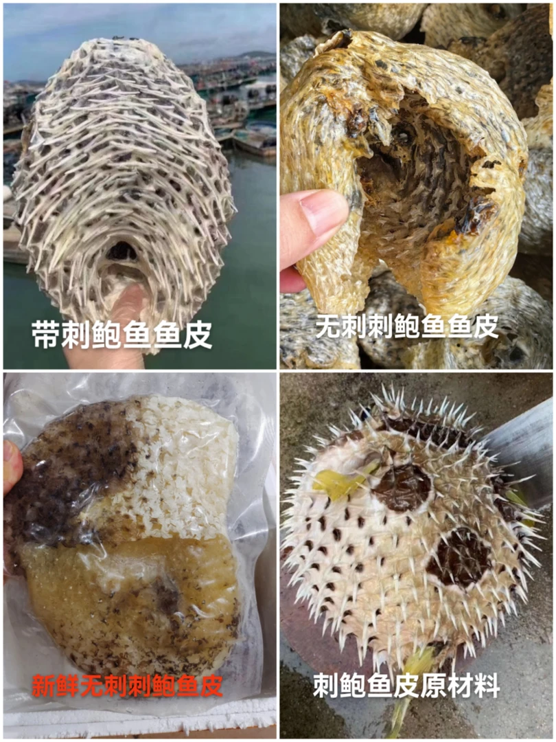 海南无刺刺鲍鱼干 带刺刺龟皮干 冰鲜无刺刺龟皮全国包邮煲汤滋补