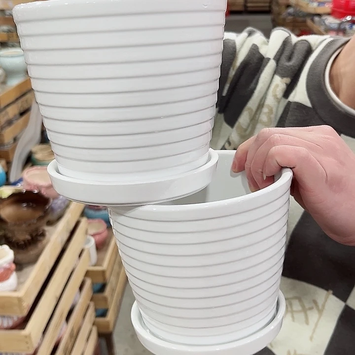 陶瓷陶瓷多肉植物花盆