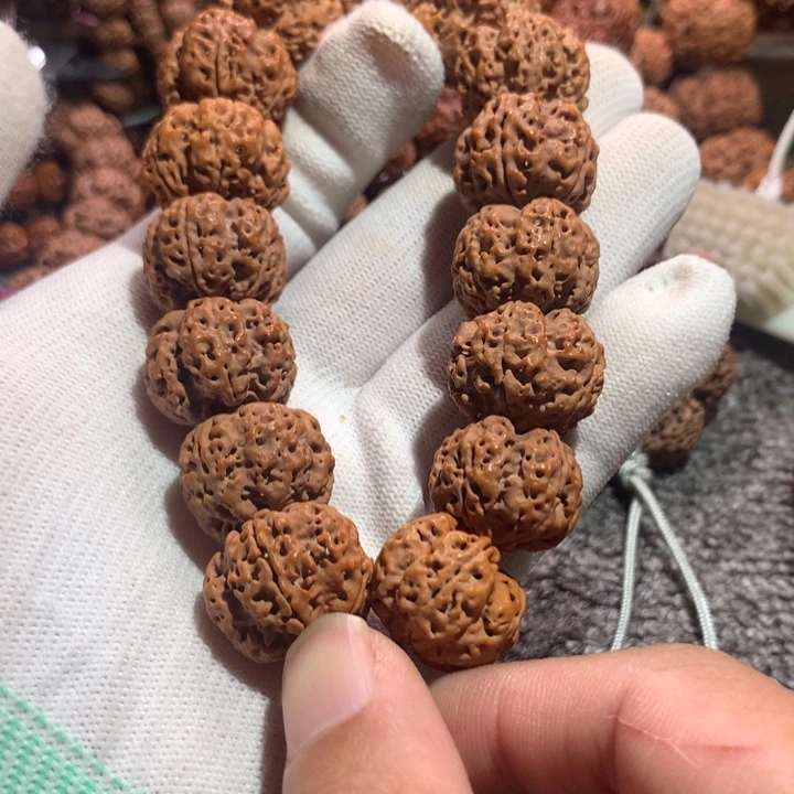 金刚菩提手串21龙爪梅花