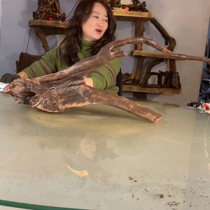 创***室天然的云南紫柚木会黄水