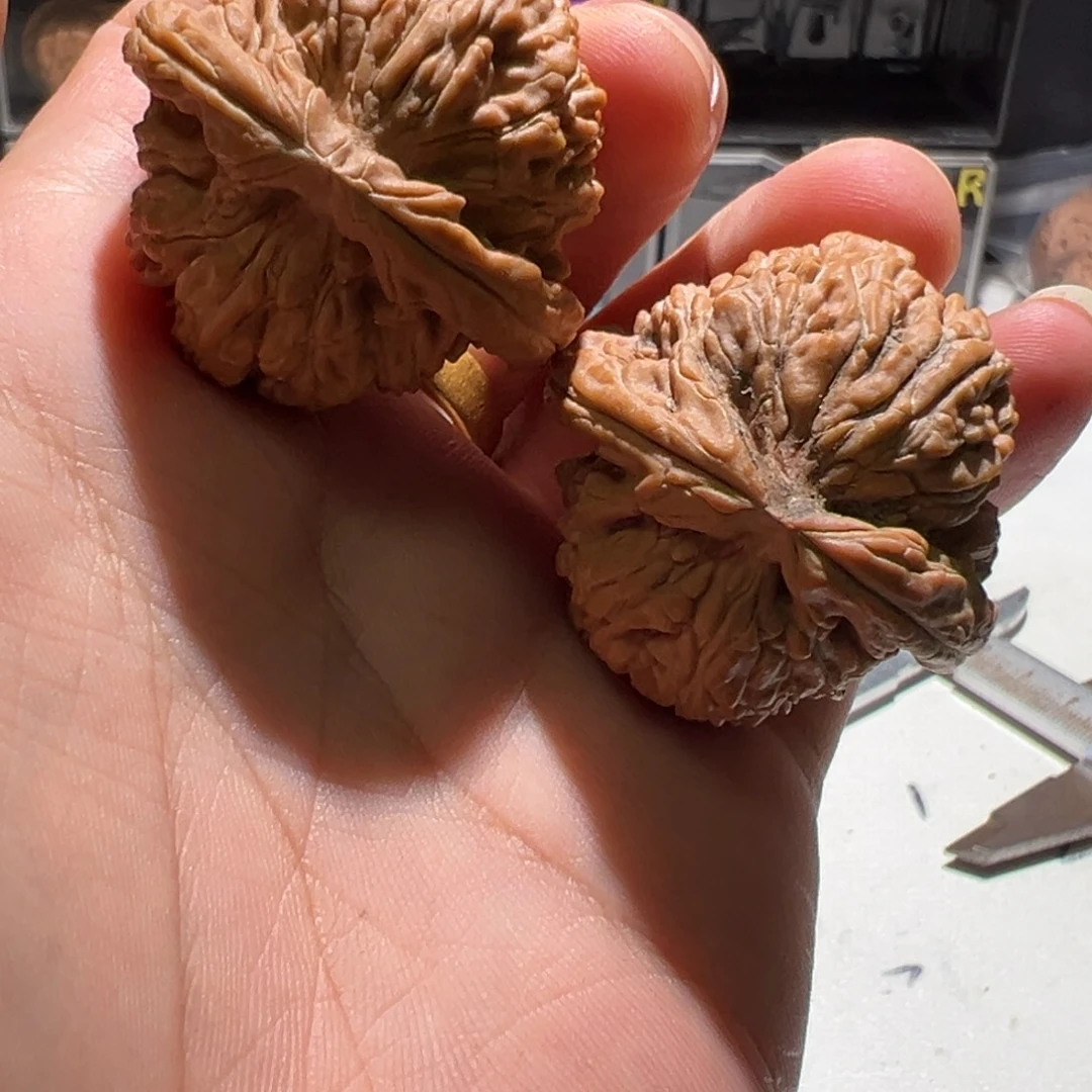欧***君文玩核桃把件白狮子