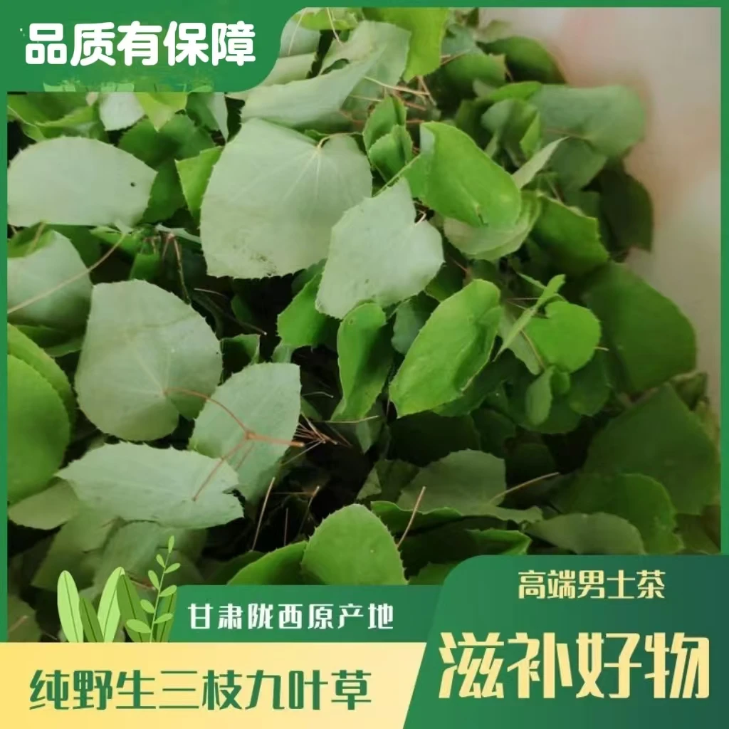 淫羊藿甘肃小圆叶【三技九叶草】可搭配肉苁蓉玛卡泡水泡酒纯叶