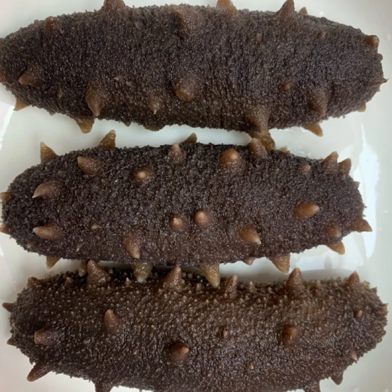 【蚝西施专线】即食海参 大连深海辽刺参辽参独立真空包装